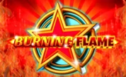 Burning%20Flame.webp
