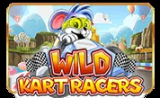 Wild-Kart-Racers.webp