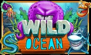 Wild-Ocean.webp