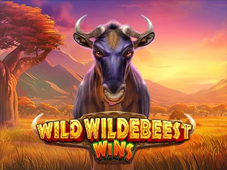 Wild Wildebeest Wins
